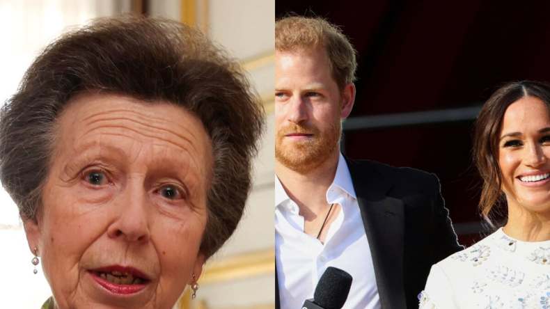 Calls mount for Prince Harry and Meghan's return as Princess Anne shoulders  70% of royal duties | World News - Hindustan Times